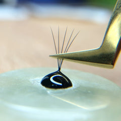 Black Berlin Eyelash Extensions Glue